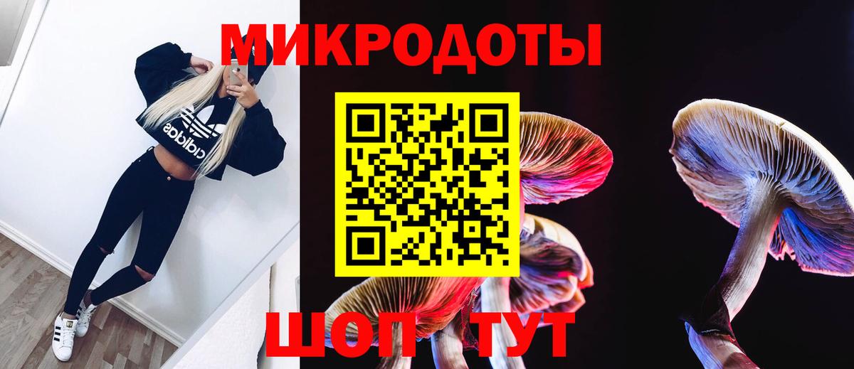 Галлюциногенные грибы мицелий Полысаево